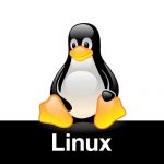 Linuxにハードディスクを増設する